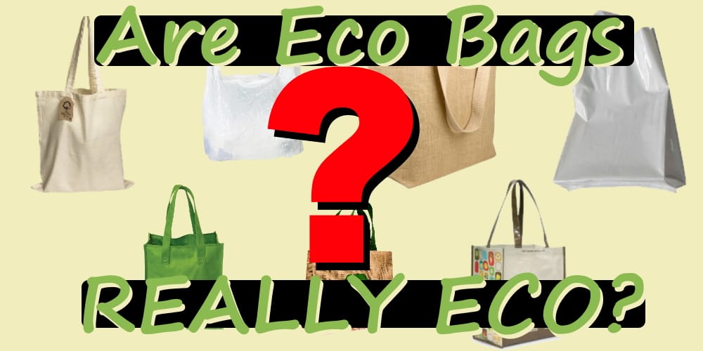 Are Eco Bags REALLY ECO?