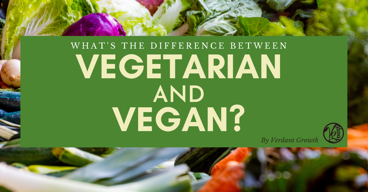 What’s the difference between vegetarian and vegan?