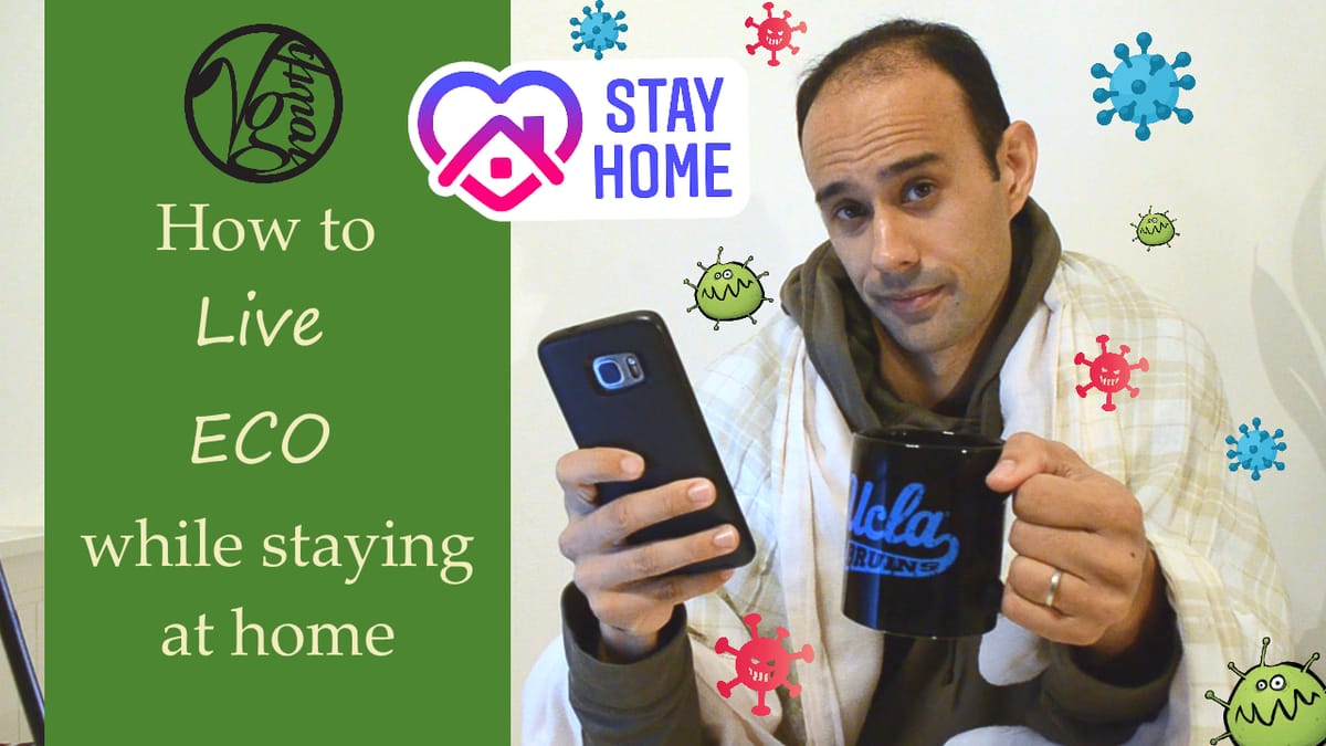 YT: How to Live Eco From Home!
