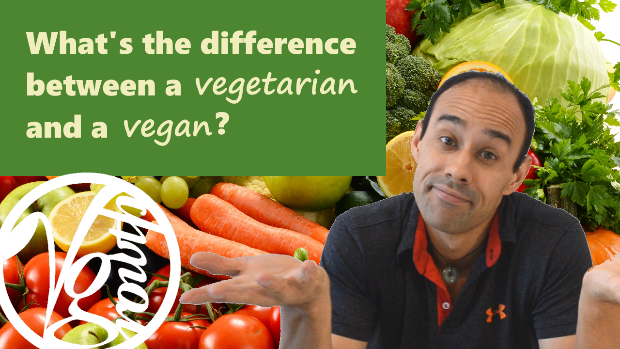 YT: What's the difference between Vegetarian and Vegan?