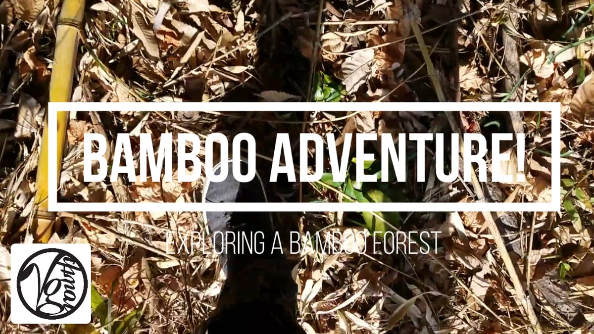 YT: Bonus Bamboo Adventure