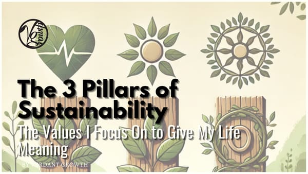 My 3 Pillars of Sustainability - The Values I Focus On To Give My Life Meaning