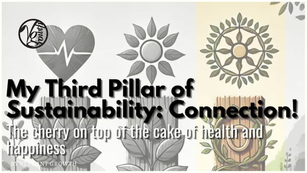 My Third Pillar of Sustainability - Connection