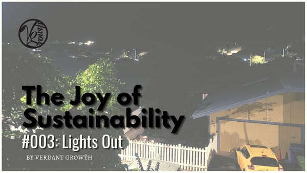 The Joy of Sustainability #003: Lights Out