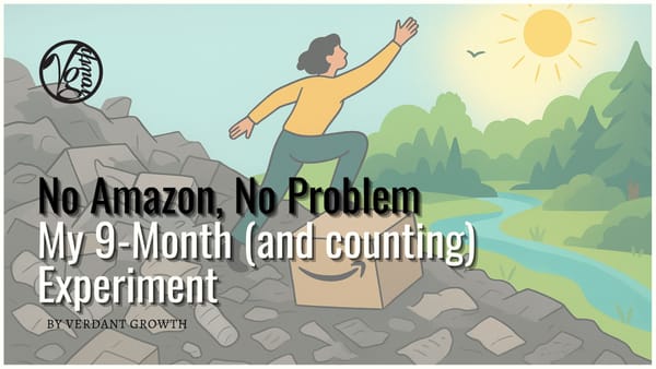 No Amazon, No Problem: My 9-Month (and counting) Experiment