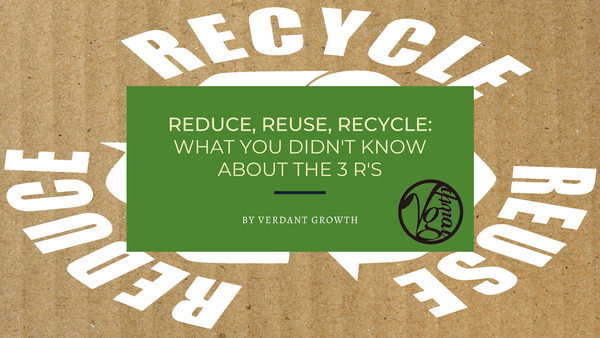 Reduce, Reuse, Recycle: What You Didn’t Know About The 3 R’s
