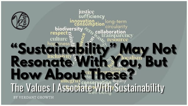 “Sustainability” May Not Resonate With You, But How About These? - The Values I Associate With Sustainability