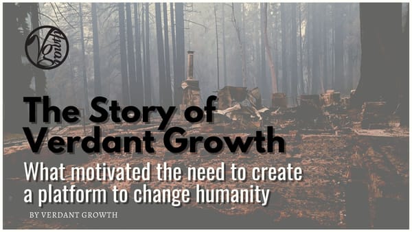 The Story of Verdant Growth