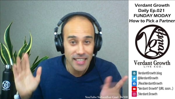 The VG Daily: 021 - Funday Monday: Picking A Partner!