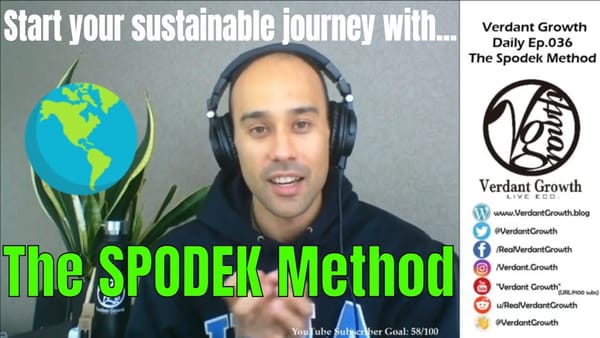 The VG Daily: 036 - The Spodek Method: Making Meaningful, Sustainable Changes